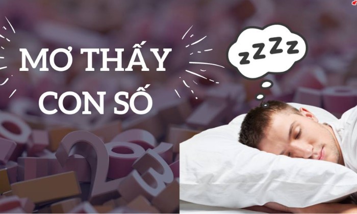 Tra số may mắn theo sổ mơ và kinh nghiệm từ người xưa